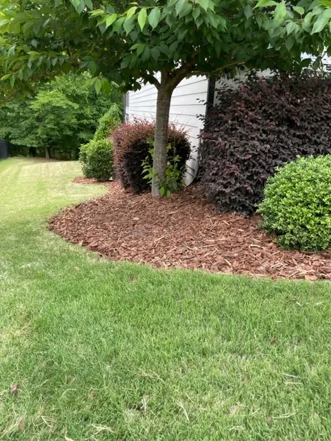 Reliable garden landscaping in Clayton, NC - Tavo's Landscaping