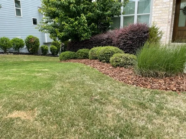 Top-rated yard maintenance near you in Clayton, NC by Tavo's Landscaping