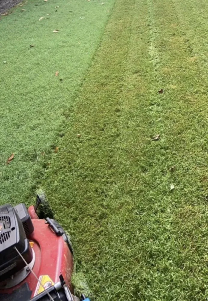 Expert residential landscaping with custom design across Clayton, NC - Tavo's Landscaping