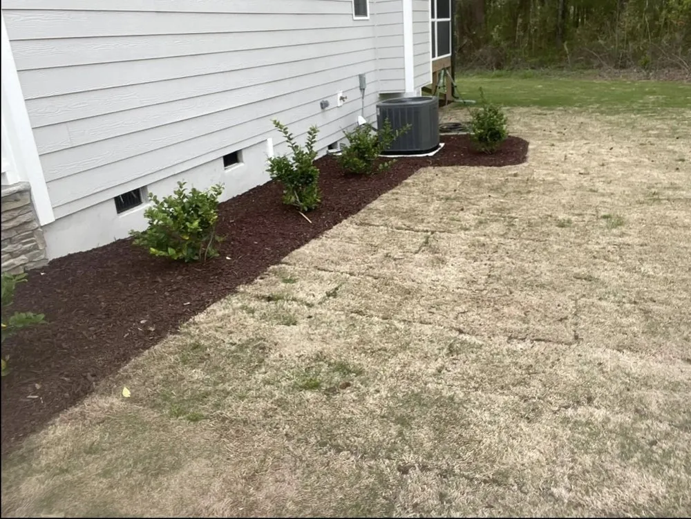 Top-rated residential landscaping for residential properties across Clayton, NC - Tavo's Landscaping