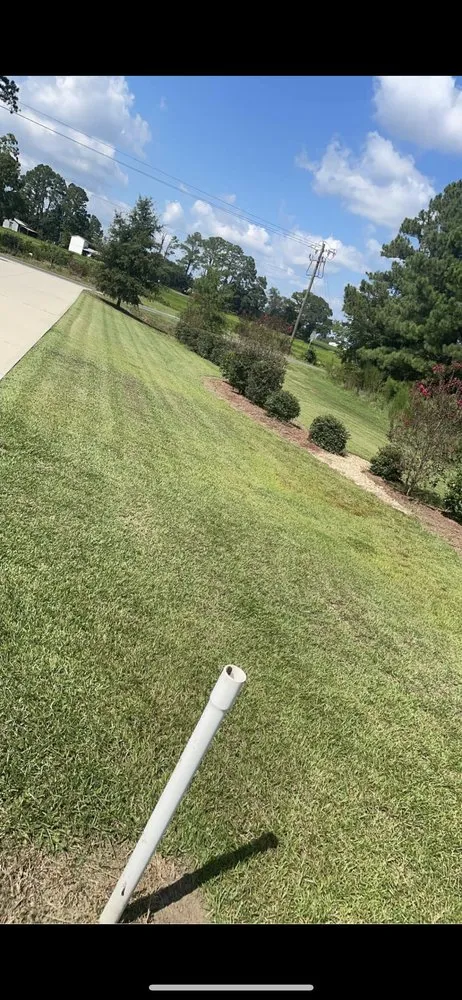 Top-rated yard cleanup service in Clayton, NC by Tavo's Landscaping