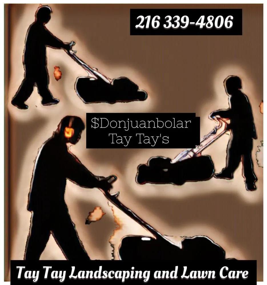 Reliable landscape installation for beautiful yards in Cleveland, OH by Tay Tay Landscaping and Lawn Care