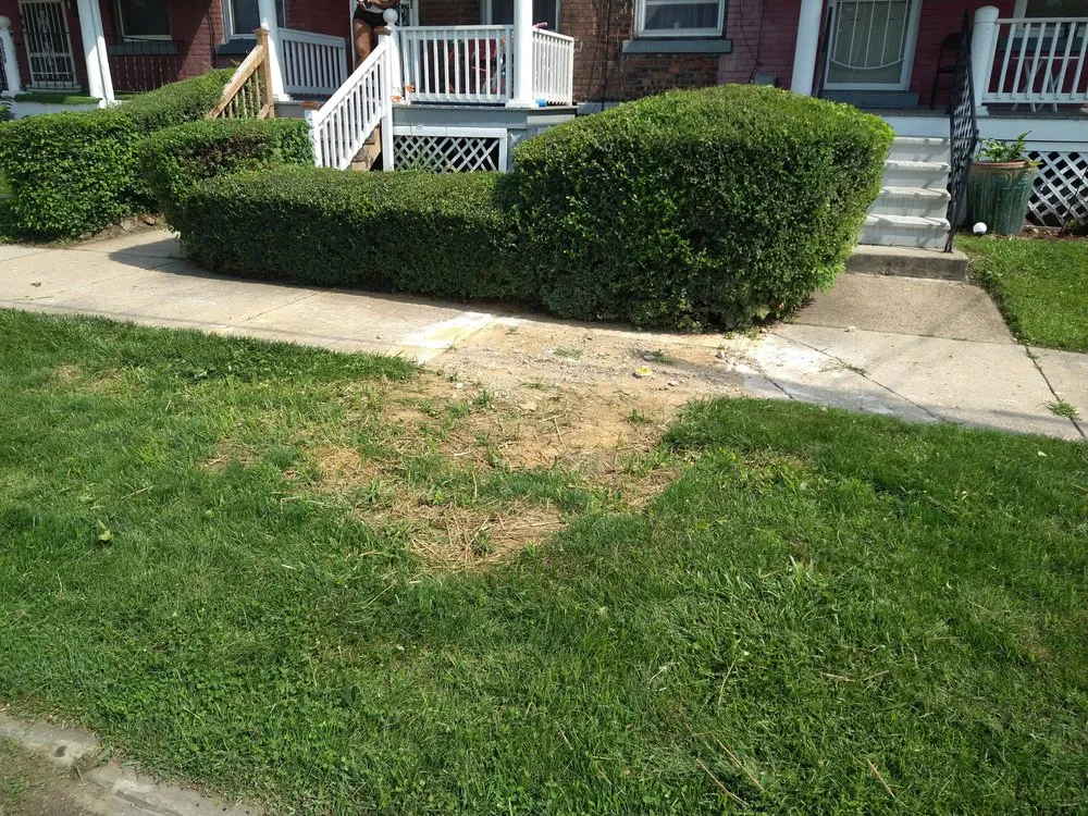 Affordable yard cleanup service in Cleveland, OH - Tay Tay Landscaping and Lawn Care