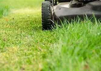 Expert landscape design experts serving Parma Heights, OH - Tayeh Grass Cuts