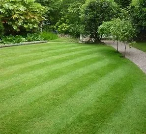 Expert lawn care service for year-round maintenance across Parma Heights, OH - Tayeh Grass Cuts