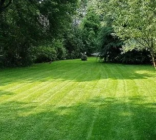 Expert lawn care service in Parma Heights, OH - Tayeh Grass Cuts