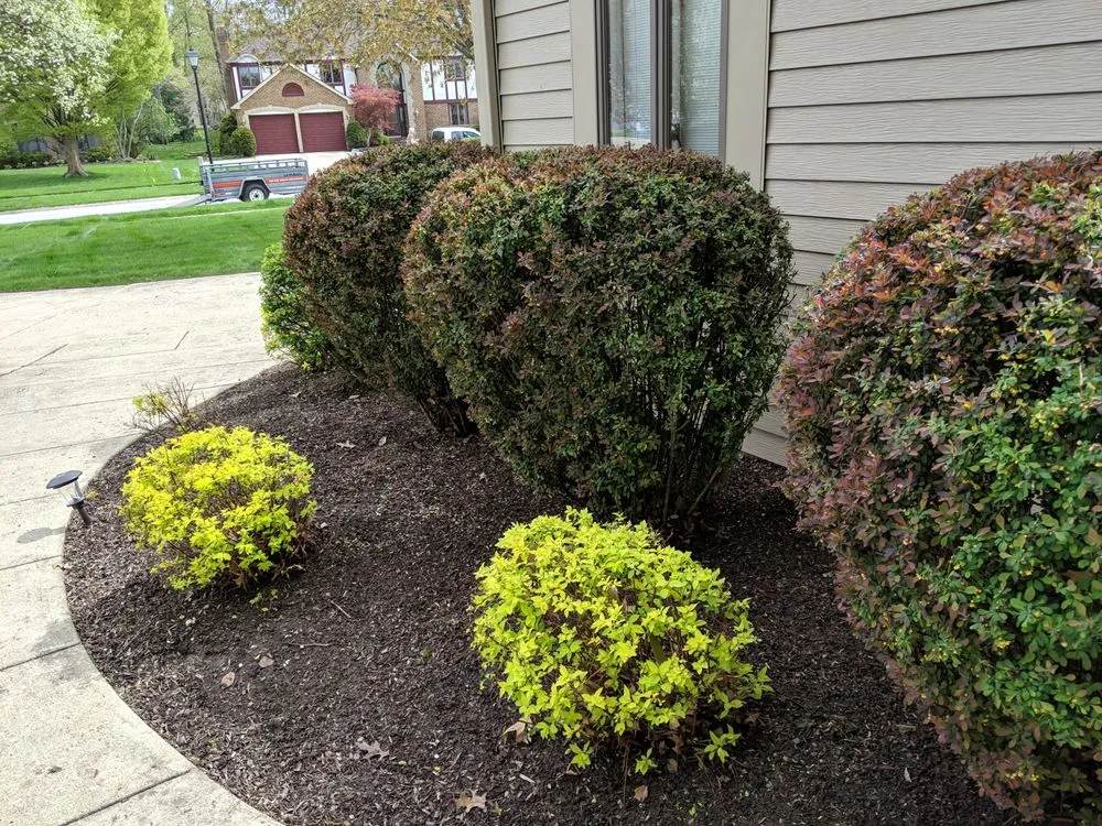 Reliable garden landscaping in Parma, OH - Tayeh Landscaping