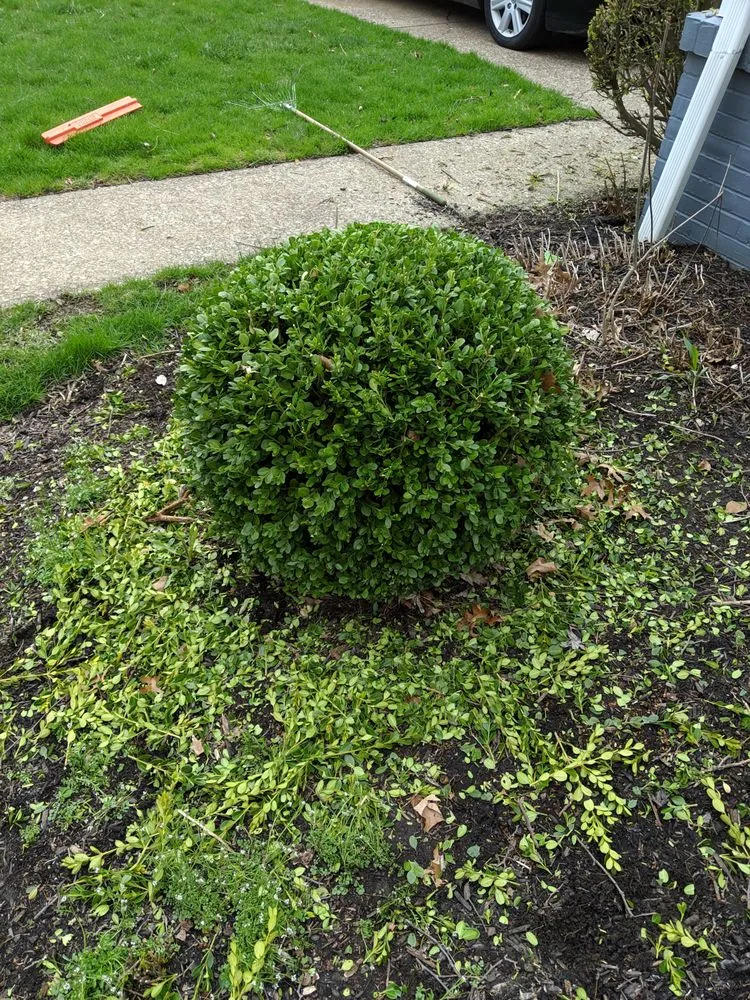 Expert landscape installation in Parma, OH - Tayeh Landscaping