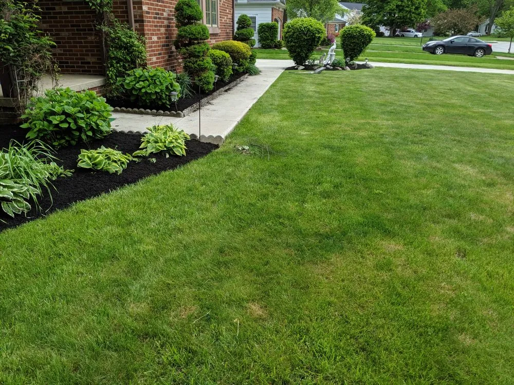 Expert landscape design in Parma, OH - Tayeh Landscaping
