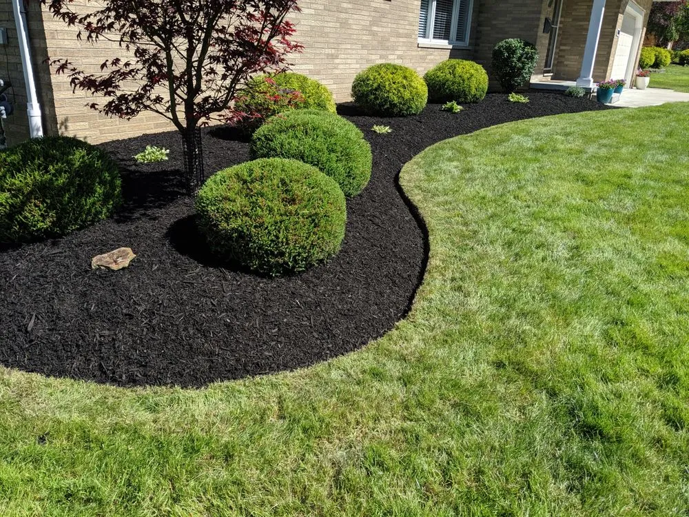 Reliable yard maintenance in Parma, OH by Tayeh Landscaping