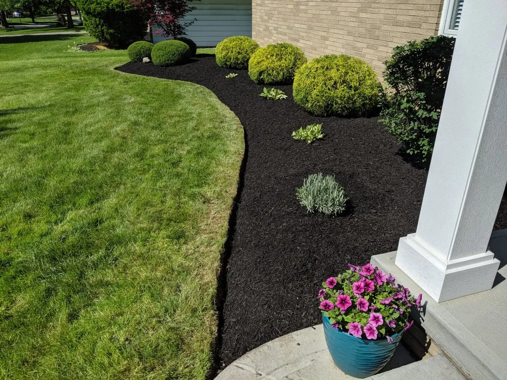 Trusted landscape installation for year-round maintenance in Parma, OH by Tayeh Landscaping