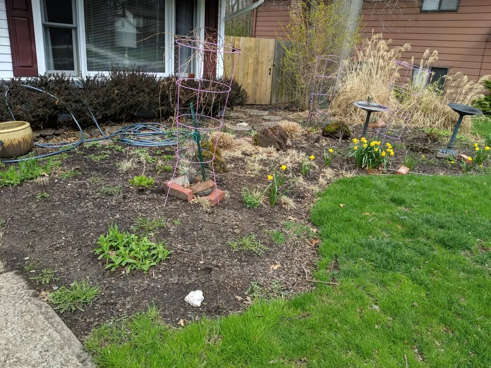 Local lawn care service near you across Parma, OH - Tayeh Landscaping