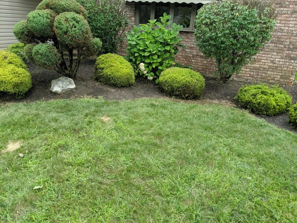 Reliable landscaping services experts serving Parma, OH - Tayeh Landscaping
