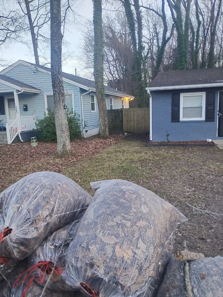 Trusted lawn care service in Newport News, VA by Tayes Lawncare Service