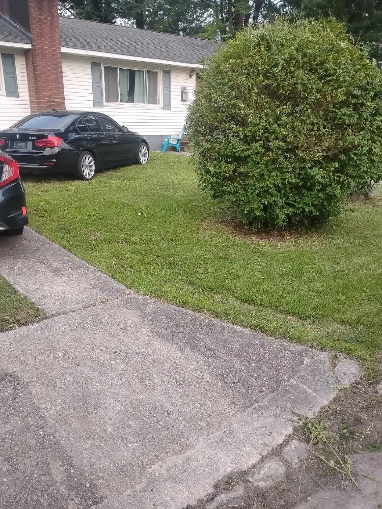 Reliable landscape installation for residential properties across Newport News, VA - Tayes Lawncare Service