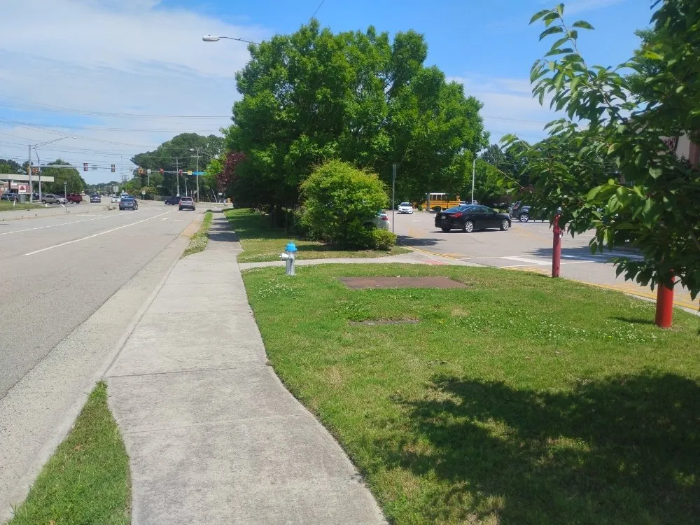 Custom yard cleanup service in Newport News, VA by Tayes Lawncare Service