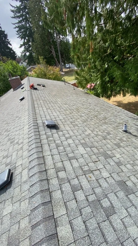 Trusted yard maintenance experts serving Everett, WA - Tayler’s Landscaping