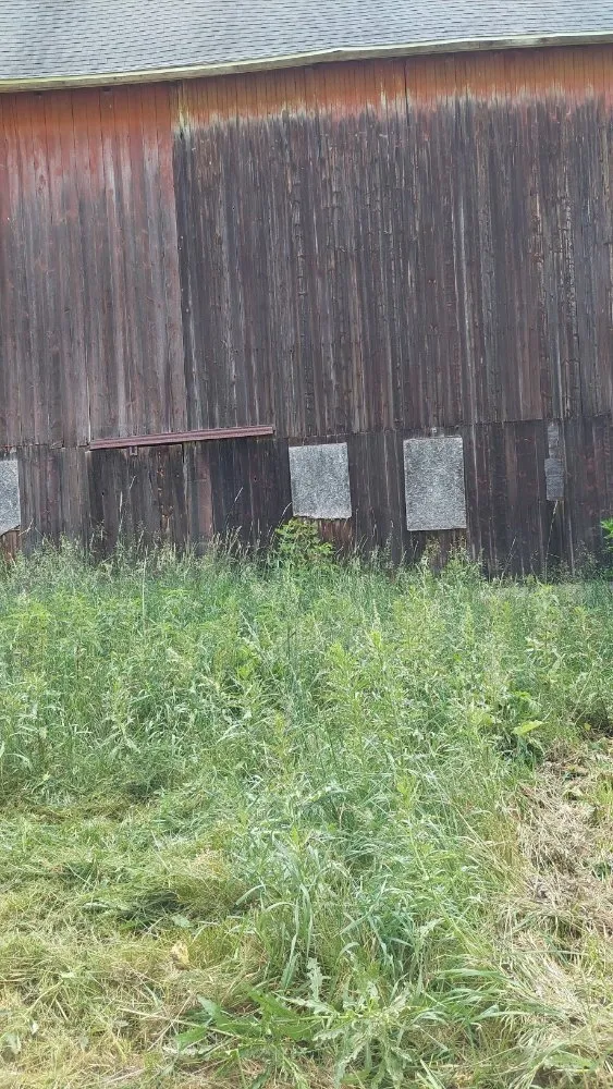 Professional yard cleanup service for homes across Brooklyn, MI - Taylor & Gunnar House and Yard