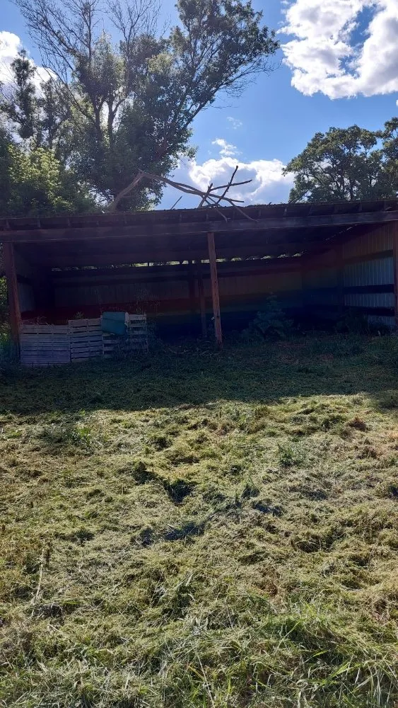 Custom landscape design experts serving Brooklyn, MI - Taylor & Gunnar House and Yard