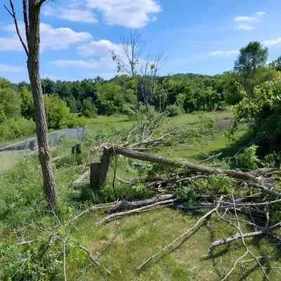 Taylor & Gunnar House and Yard