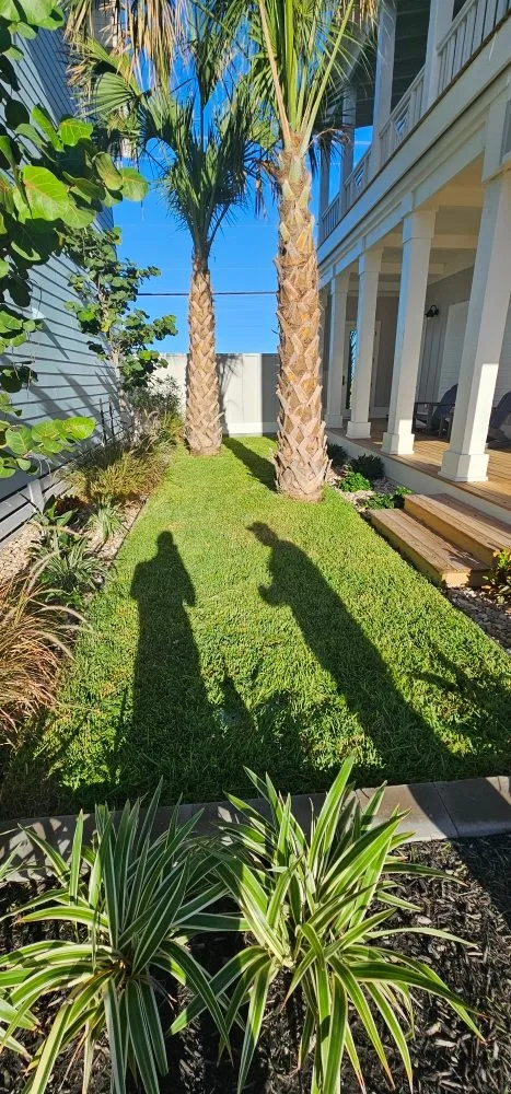 Affordable landscape installation in sulphur springs, TX by Taylor And Sons Landscaping