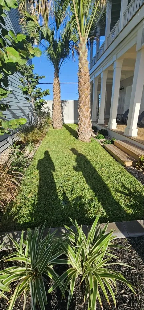 Reliable yard maintenance near you across sulphur springs, TX - Taylor And Sons Landscaping