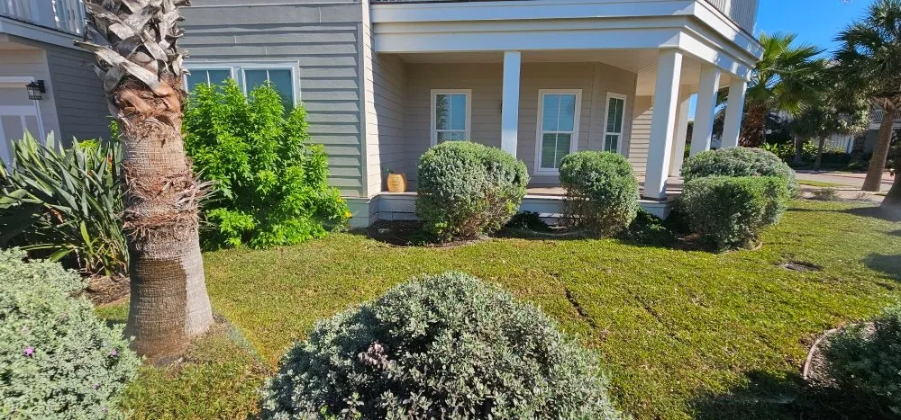 Professional yard maintenance in sulphur springs, TX - Taylor And Sons Landscaping