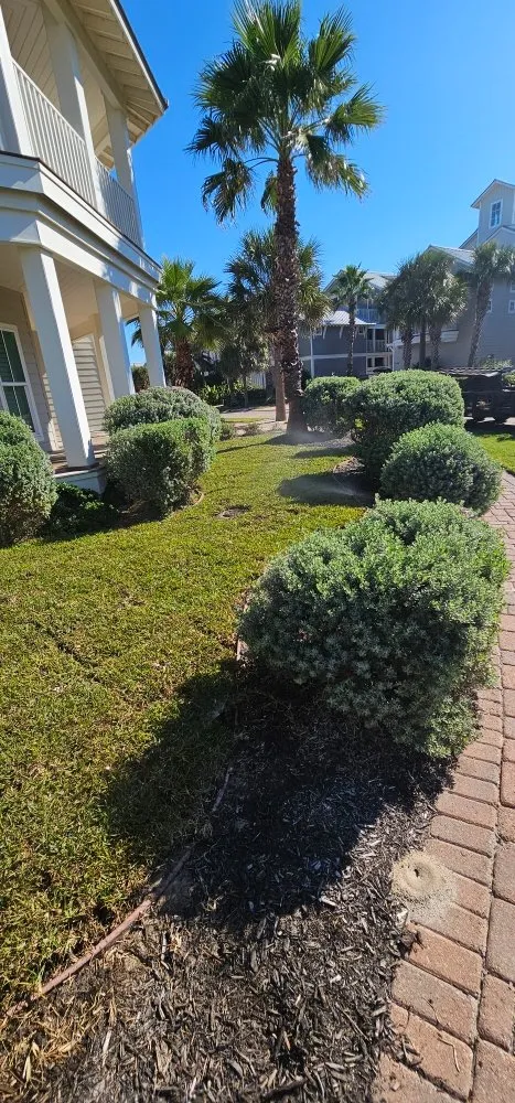 Reliable landscaping services experts serving sulphur springs, TX - Taylor And Sons Landscaping