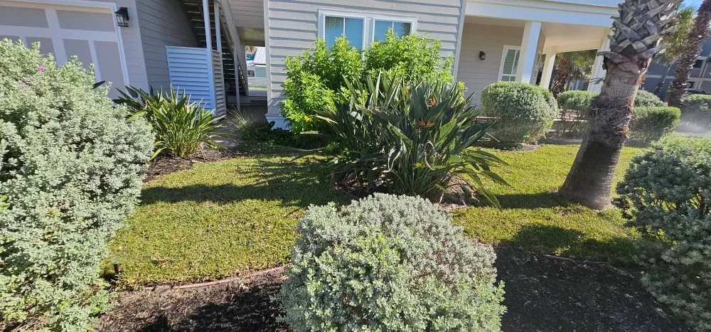 Custom landscaping services in sulphur springs, TX by Taylor And Sons Landscaping