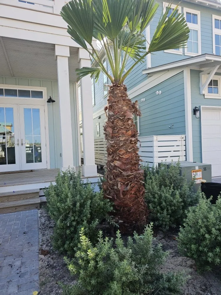 Reliable yard maintenance experts serving sulphur springs, TX - Taylor And Sons Landscaping