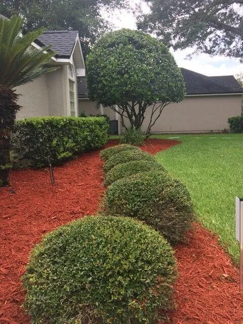 Trusted landscape design for residential properties across Hilden, FL - Taylor Anthony 365