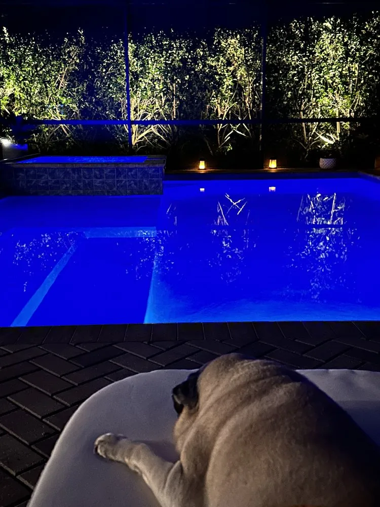 Custom yard cleanup service for outdoor upgrades in Hilden, FL by Taylor Anthony 365