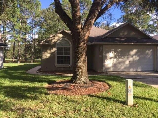 Expert lawn care service in Hilden, FL - Taylor Anthony 365