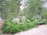 Reliable landscape installation in Parker, CO - Taylor Brothers Landscape