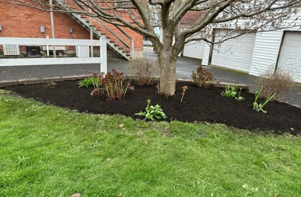 Affordable landscape design experts serving Auburn, NY - Taylor Enterprise