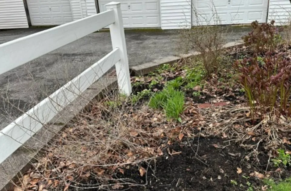 Top-rated lawn care service near you across Auburn, NY - Taylor Enterprise