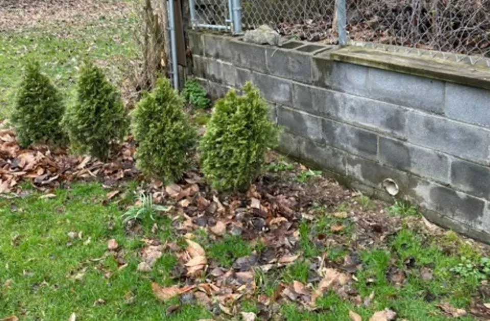 Custom residential landscaping in Auburn, NY - Taylor Enterprise