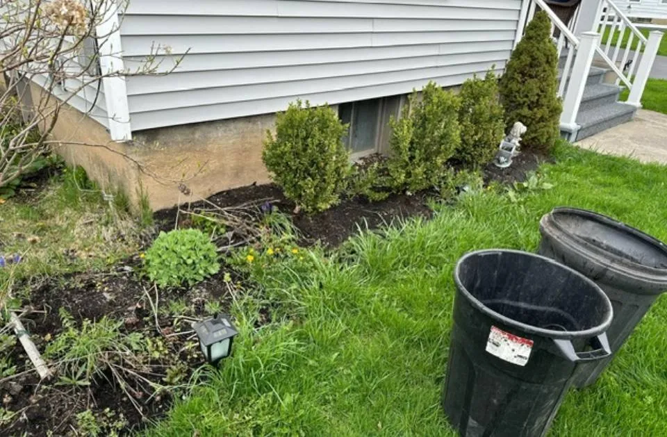 Expert lawn mowing service experts serving Auburn, NY - Taylor Enterprise