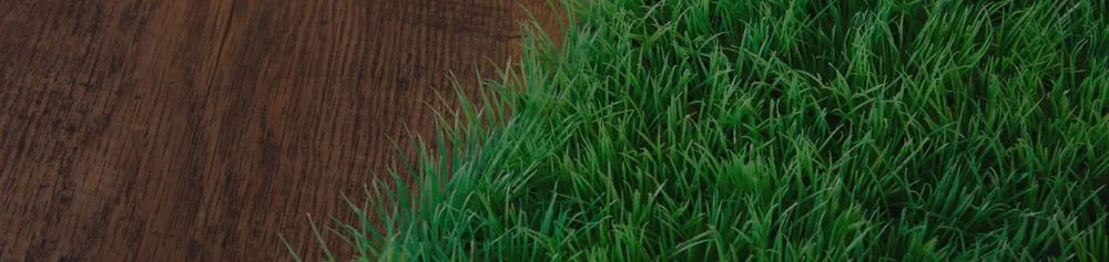 Reliable yard maintenance with custom design in Auburn, NY by Taylor Enterprise