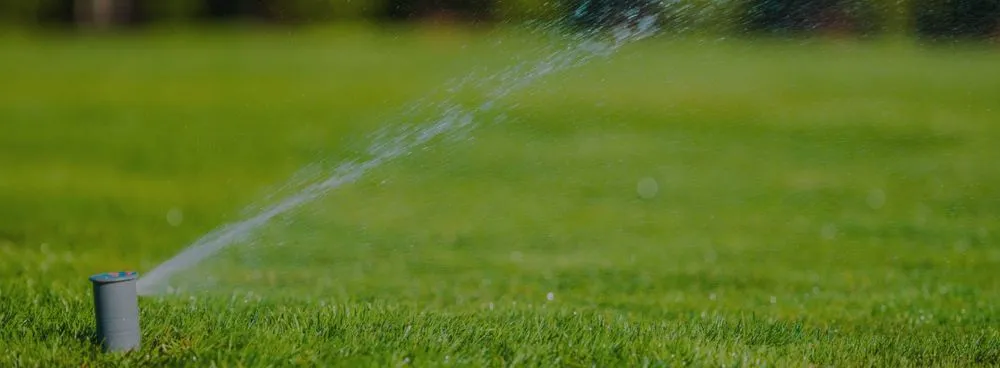 Expert landscaping services for residential properties in Auburn, NY by Taylor Enterprise