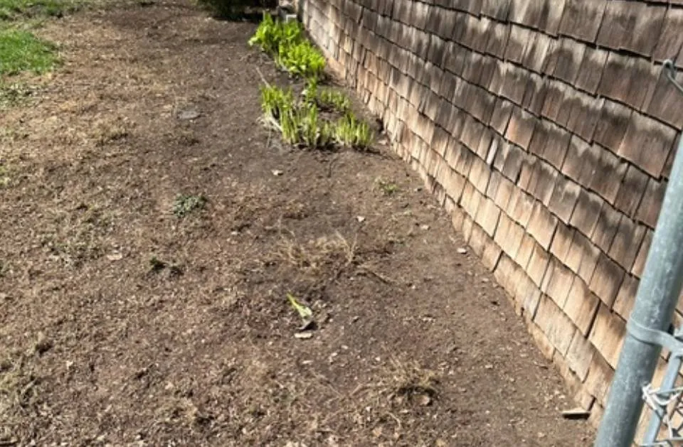 Professional residential landscaping in Auburn, NY by Taylor Enterprise