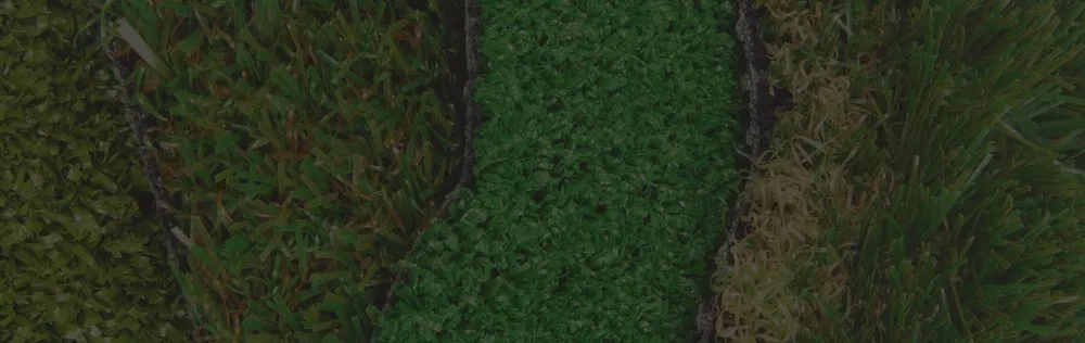 Top-rated landscaping services experts serving Auburn, NY - Taylor Enterprise