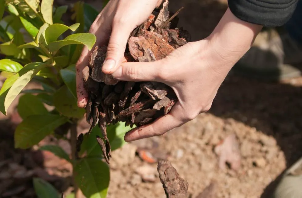 Affordable garden landscaping in Auburn, NY by Taylor Enterprise