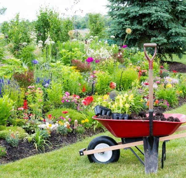 Affordable yard cleanup service experts serving Auburn, NY - Taylor Enterprise