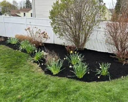 Top-rated yard cleanup service experts serving Auburn, NY - Taylor Enterprise