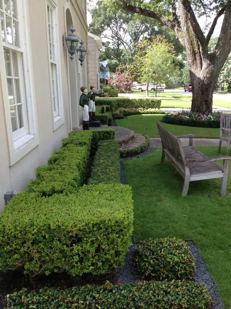 Trusted landscaping services for year-round maintenance across Houston, TX - Taylor Landscape & Gardens