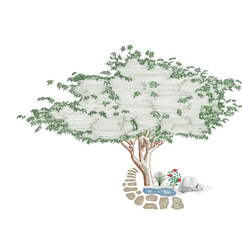 Professional landscape design in Houston, TX - Taylor Landscape & Gardens