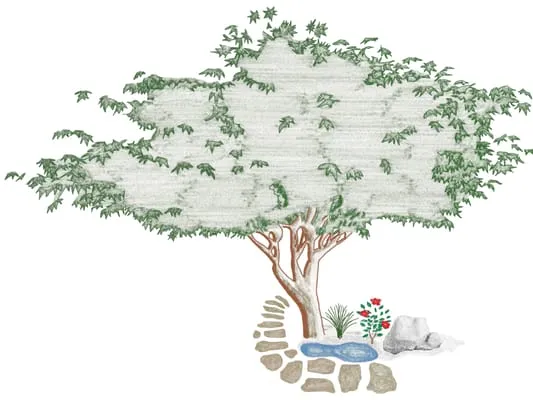 Taylor Landscape & Gardens Logo