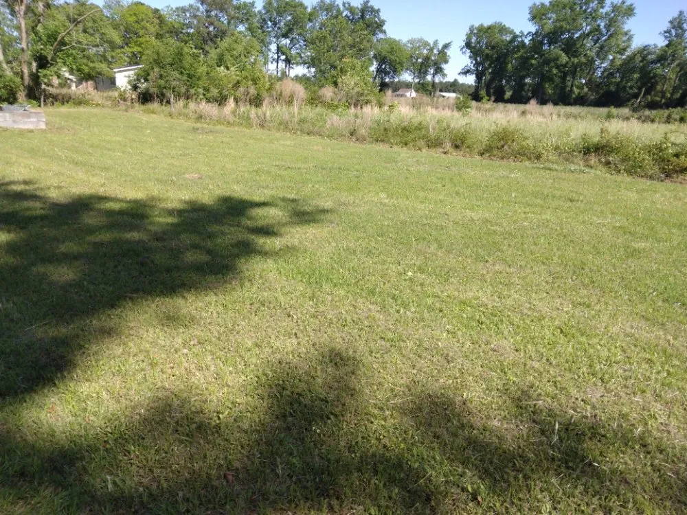 Top-rated outdoor landscaping experts serving Wallace, NC - Taylor landscaping and maintenance