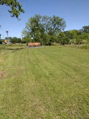 Taylor landscaping and maintenance